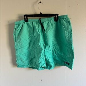 Patagonia Men's Green  Shorts